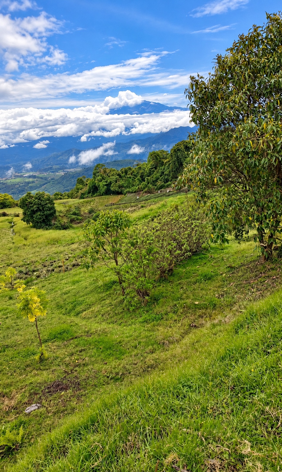 Vista panorámica del valle y el entorno natural