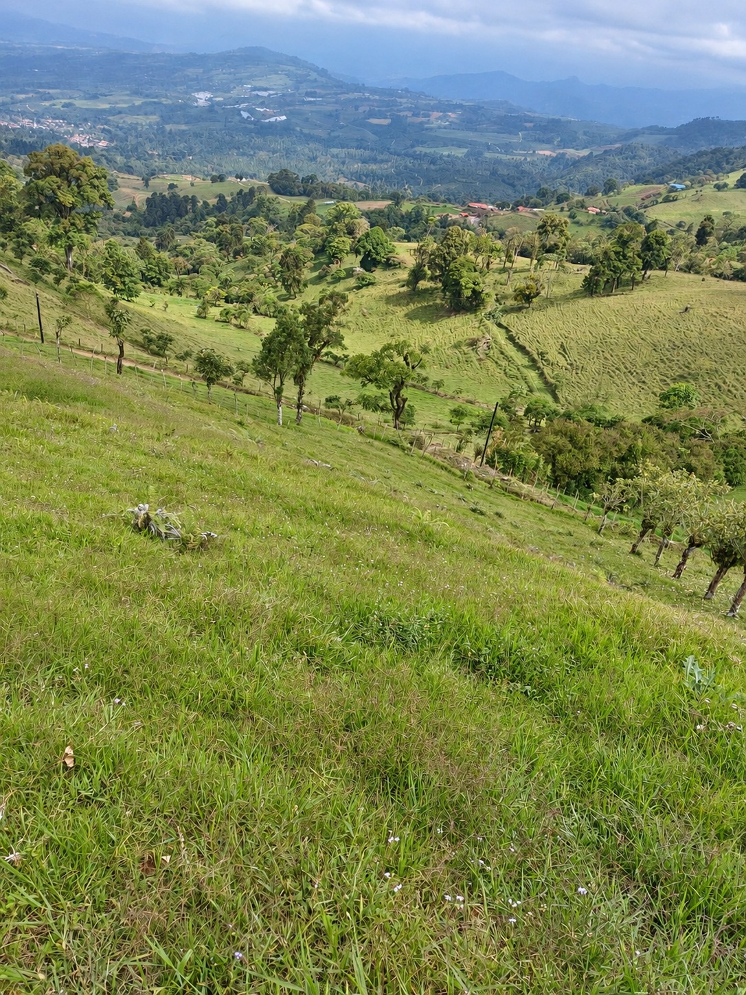 Vista hacia el valle de Turrialba