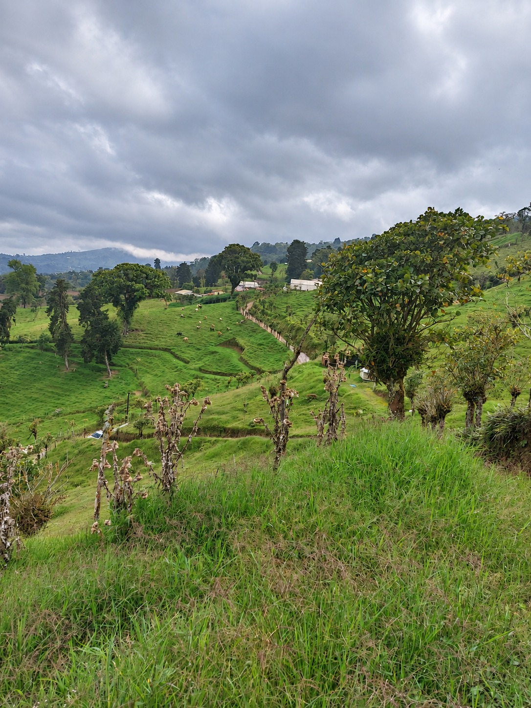 Paisaje y entorno de la propiedad