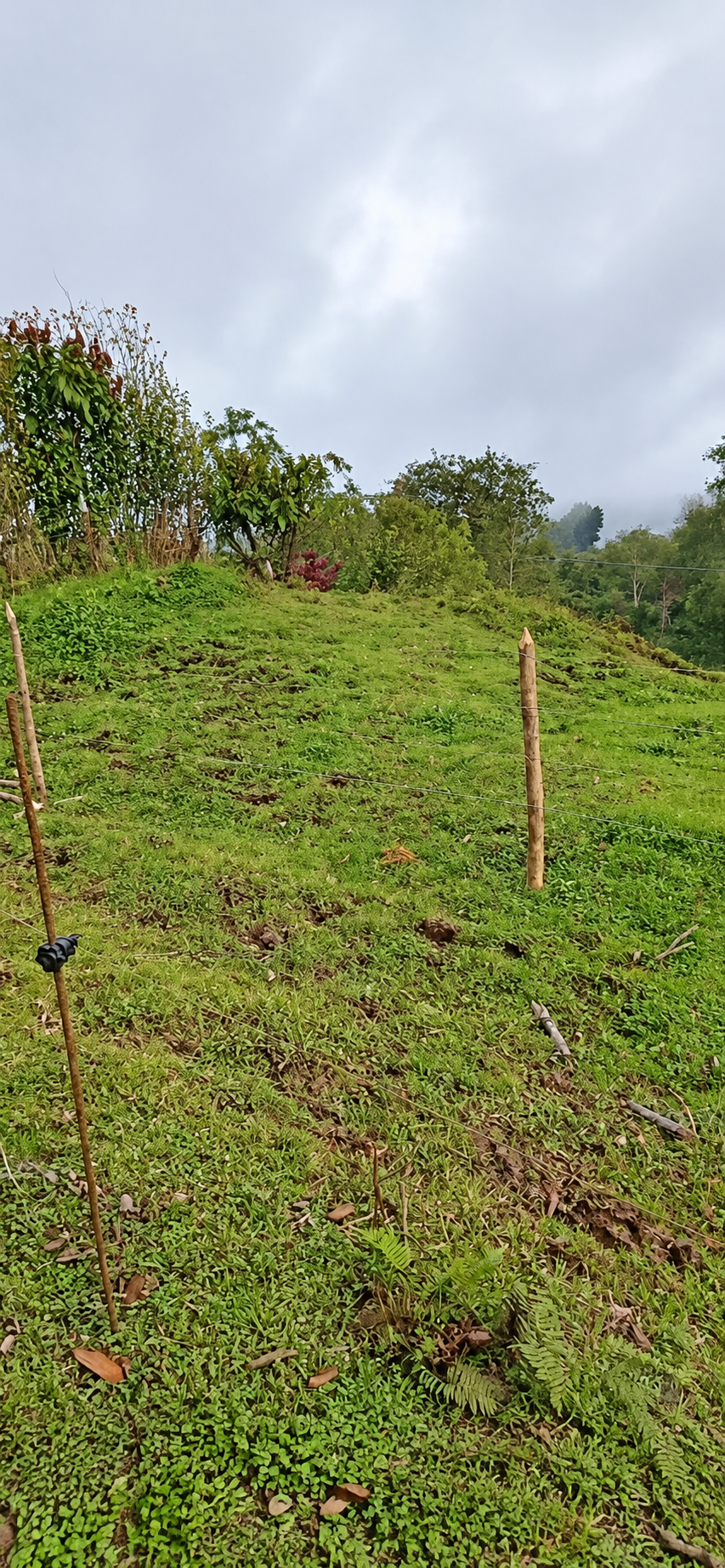 Terreno de 1.056,57 m² en La Pastora