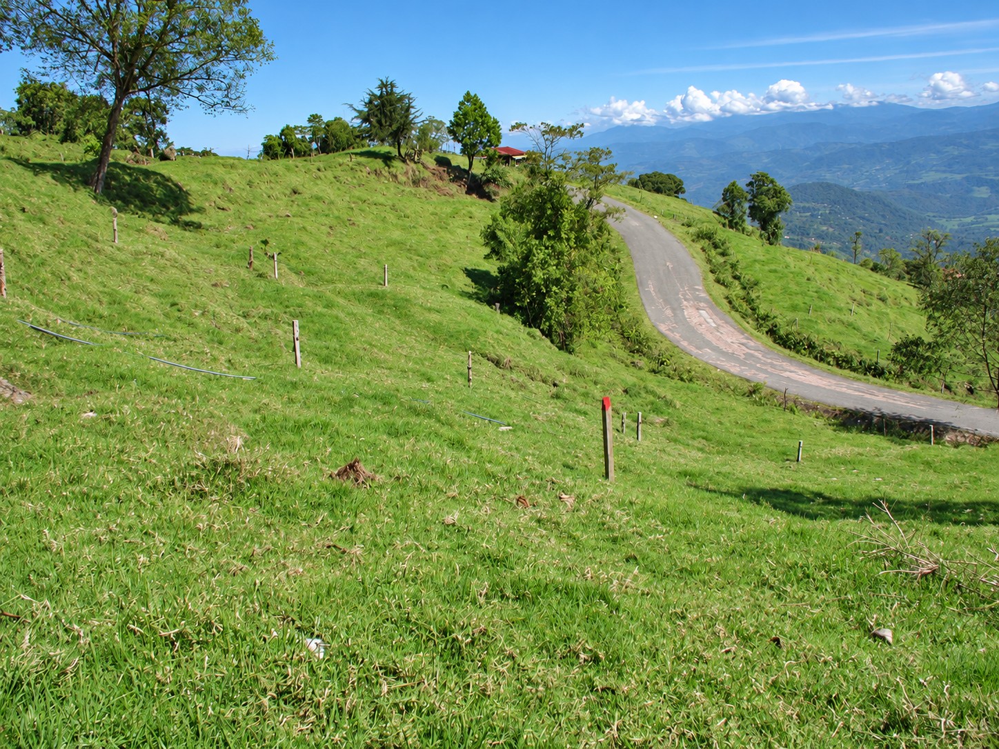 Terreno y calle pública en La Pastora
