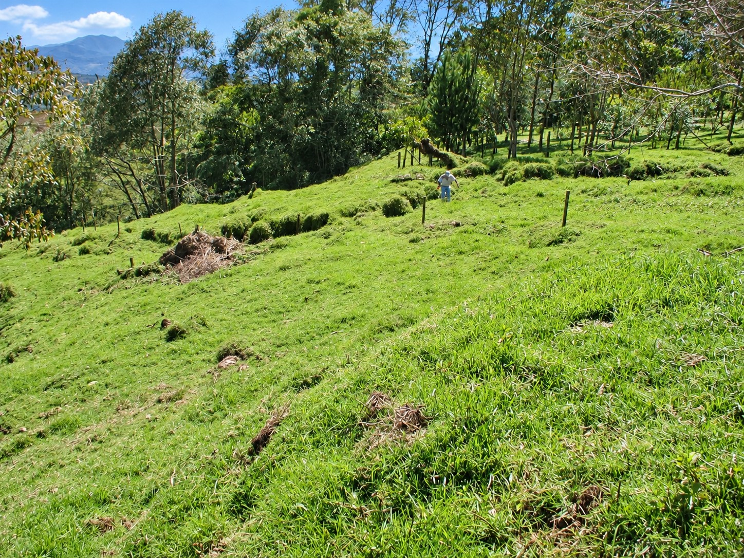 Vista del terreno de 1.056,57 m²