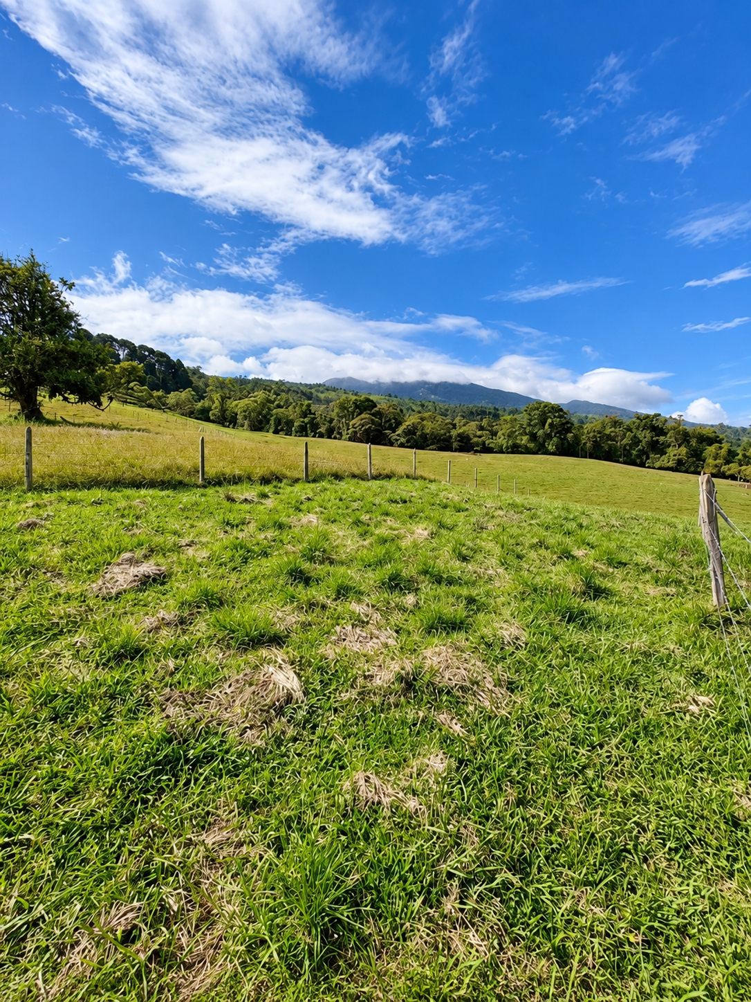 Vista del lote de 625 m² y las montañas