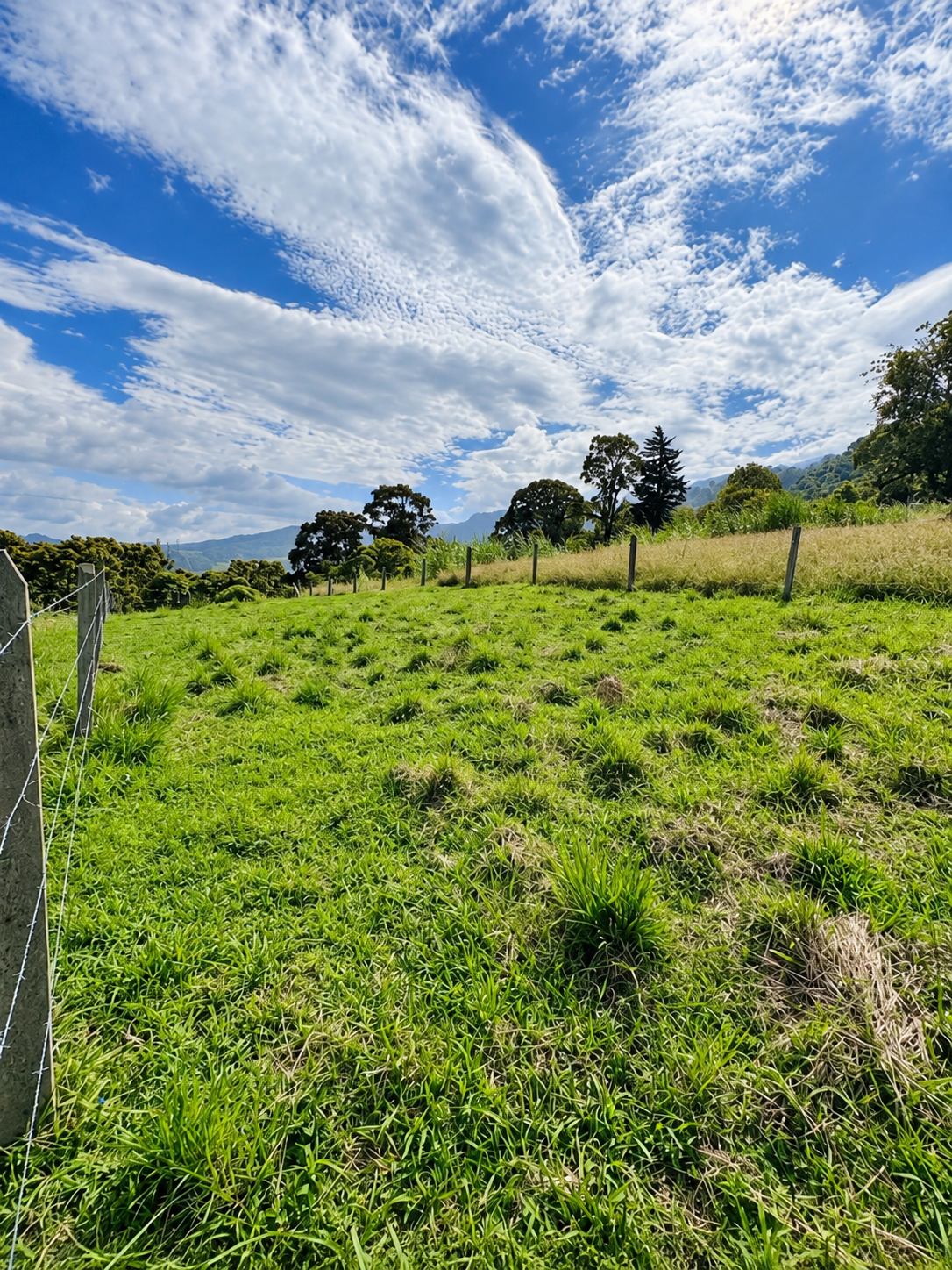 Terreno y cerca del lote de 625 m²